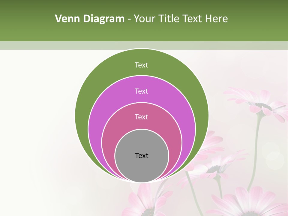 Isolated Petals Border PowerPoint Template