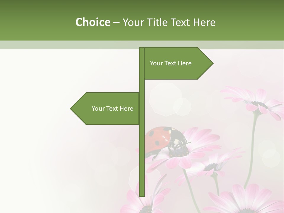 Isolated Petals Border PowerPoint Template