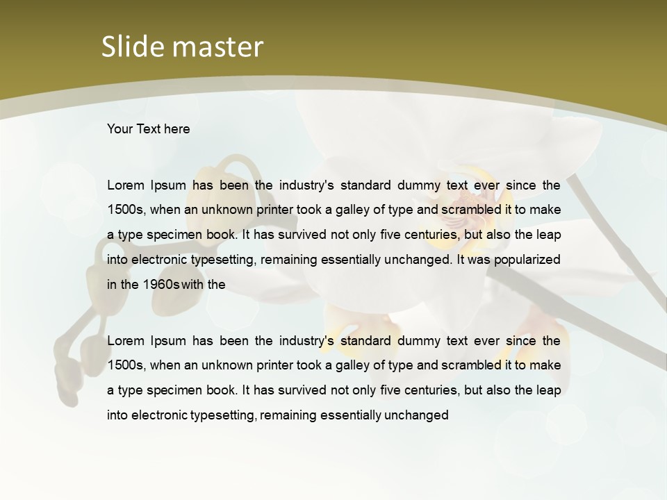 Nature Blossom White PowerPoint Template