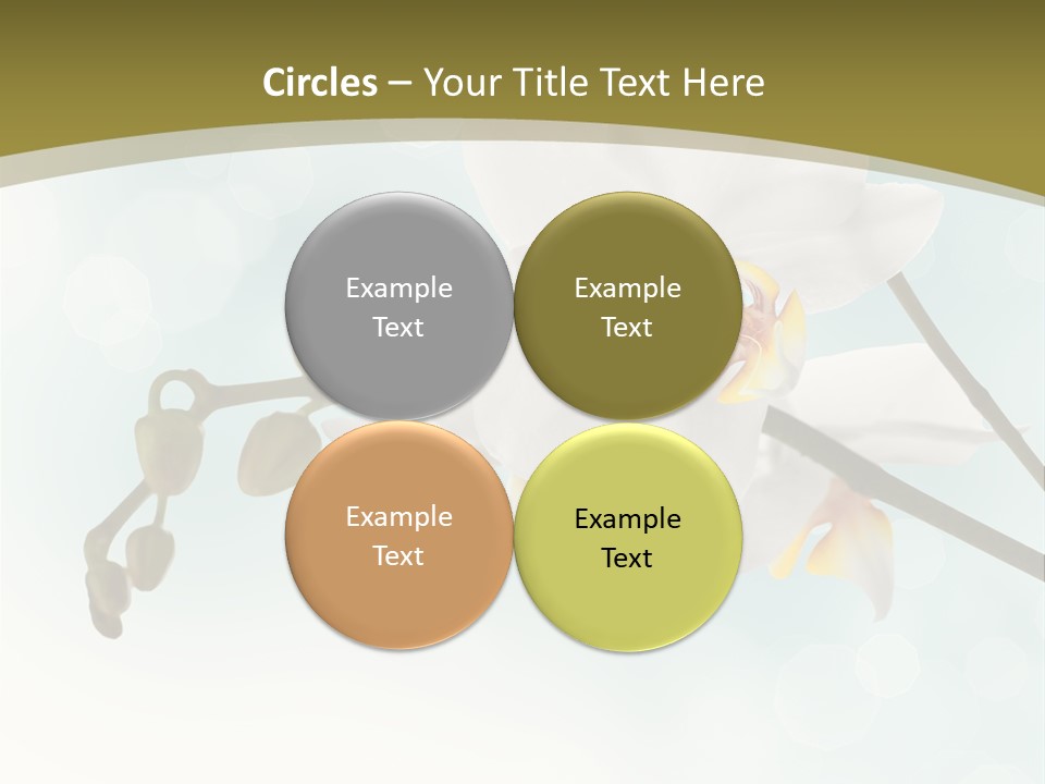 Nature Blossom White PowerPoint Template