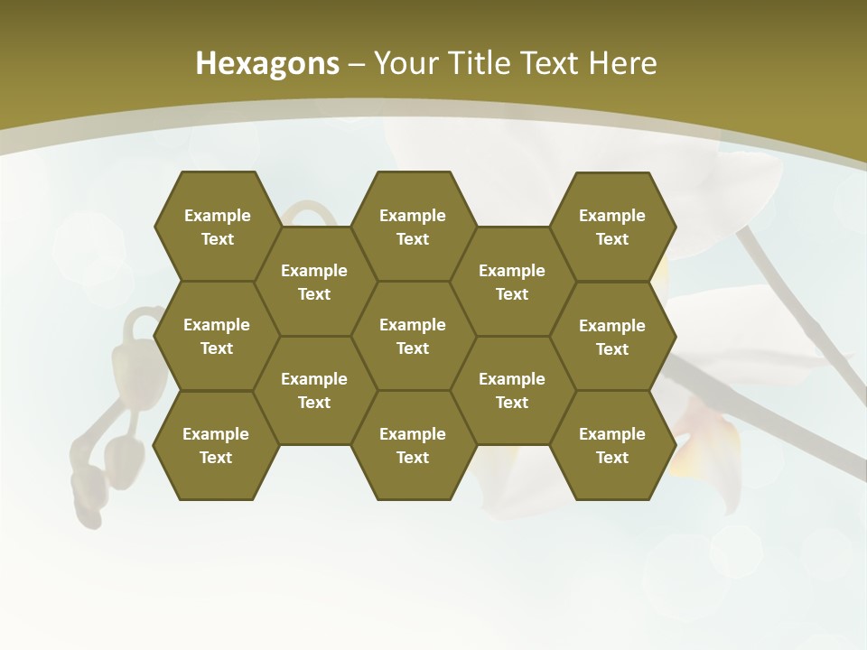 Nature Blossom White PowerPoint Template