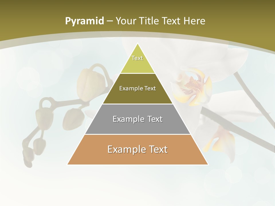 Nature Blossom White PowerPoint Template