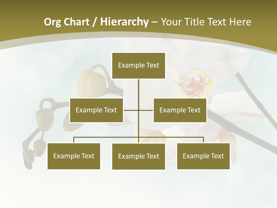 Nature Blossom White PowerPoint Template