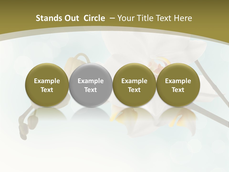 Nature Blossom White PowerPoint Template