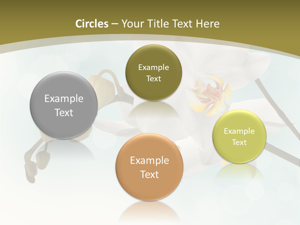 Nature Blossom White PowerPoint Template