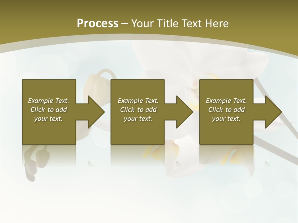 Nature Blossom White PowerPoint Template