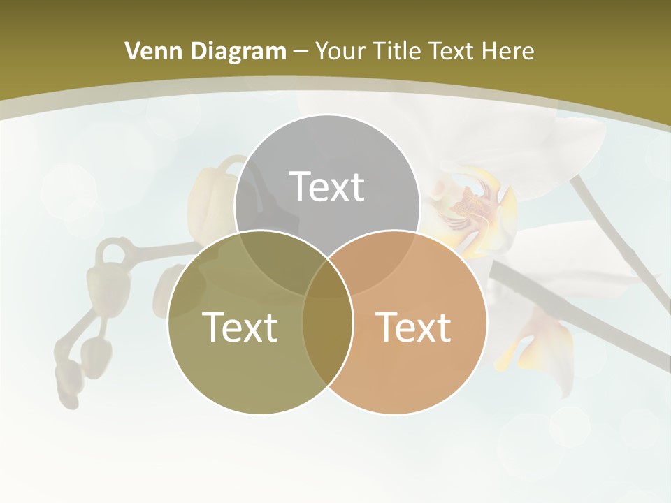 Nature Blossom White PowerPoint Template