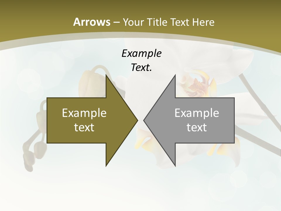 Nature Blossom White PowerPoint Template