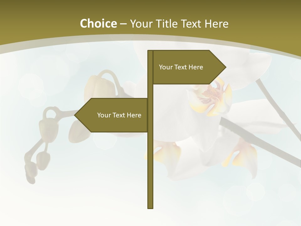 Nature Blossom White PowerPoint Template