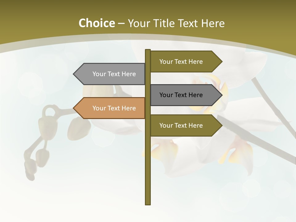 Nature Blossom White PowerPoint Template