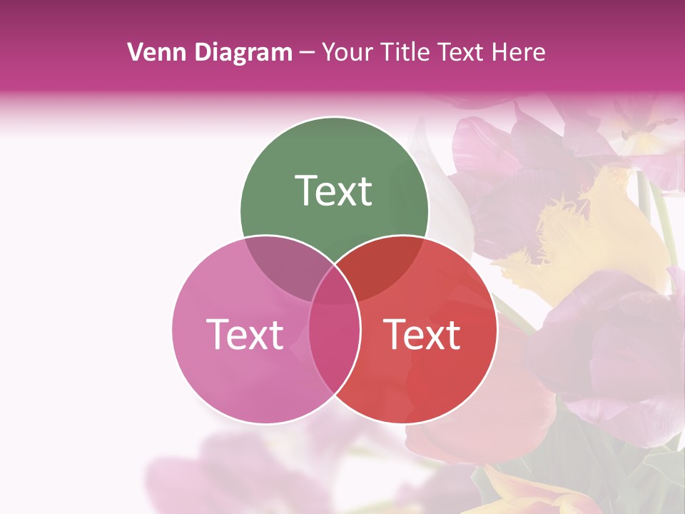 Mother Isolate Anniversary PowerPoint Template