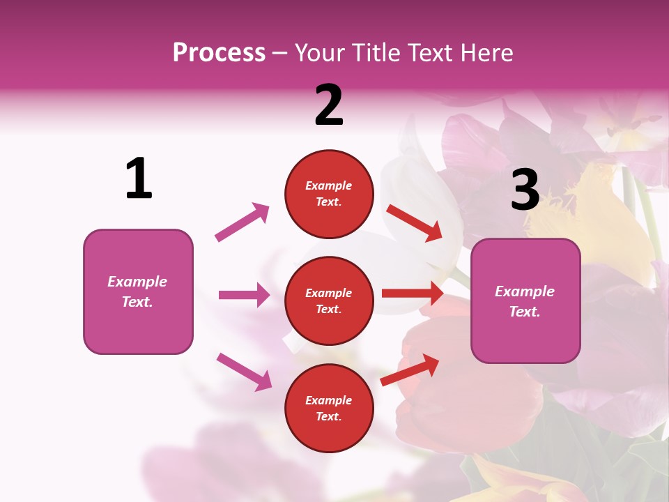 Mother Isolate Anniversary PowerPoint Template