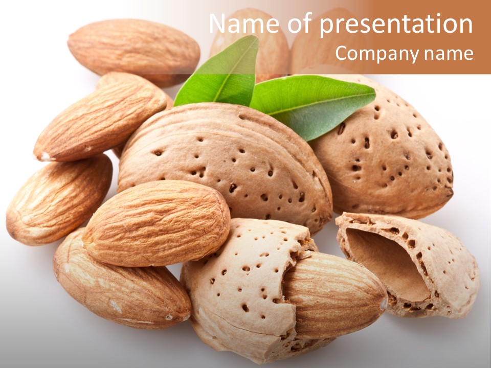 Almond Macro Shell PowerPoint Template