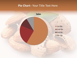 Almond Macro Shell PowerPoint Template