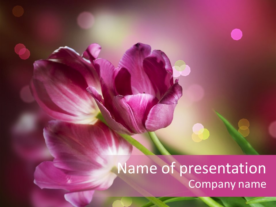 Vivid Petal Greeting PowerPoint Template