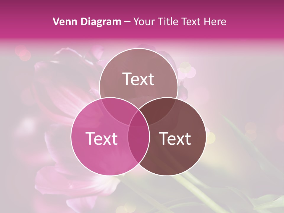 Vivid Petal Greeting PowerPoint Template