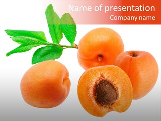 Summer Tasty Vegetarian PowerPoint Template