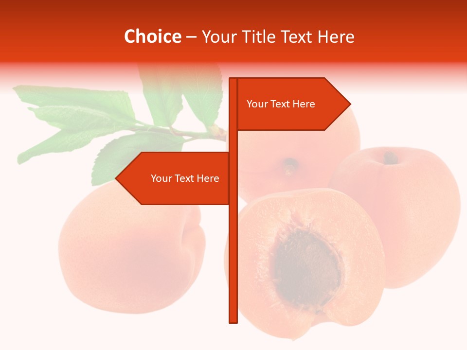 Summer Tasty Vegetarian PowerPoint Template