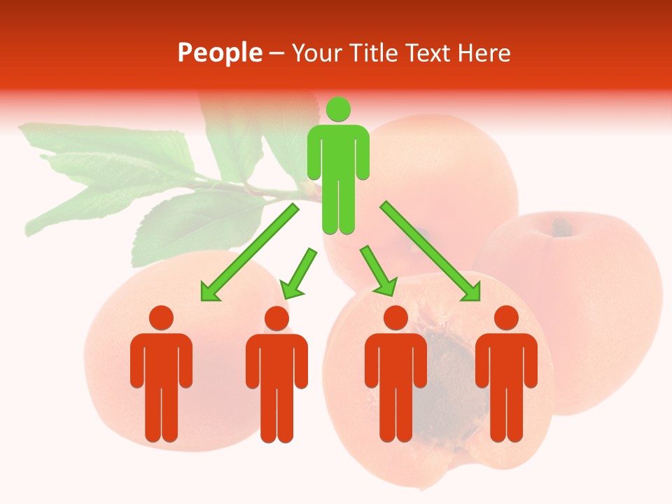 Summer Tasty Vegetarian PowerPoint Template