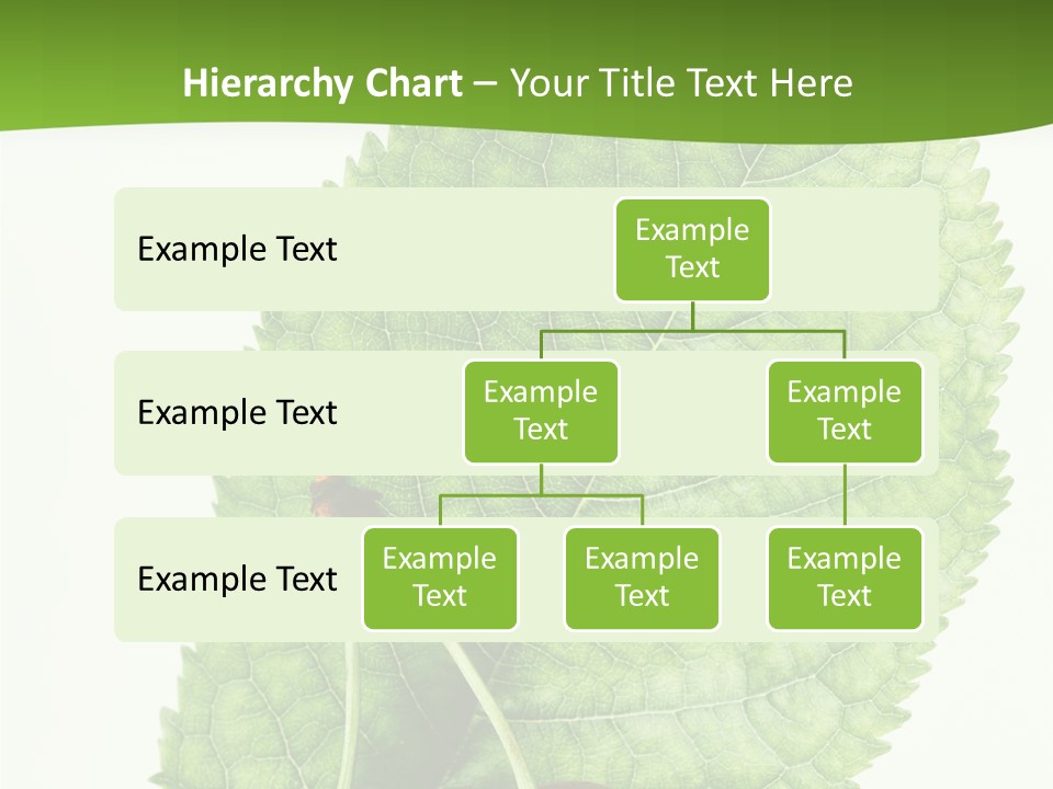Art Culture Writing PowerPoint Template
