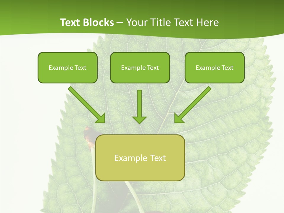 Art Culture Writing PowerPoint Template