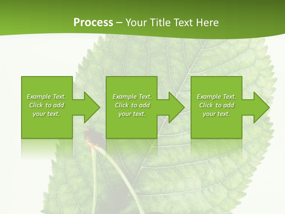 Art Culture Writing PowerPoint Template