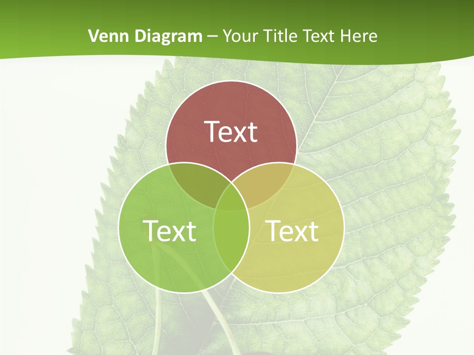 Art Culture Writing PowerPoint Template