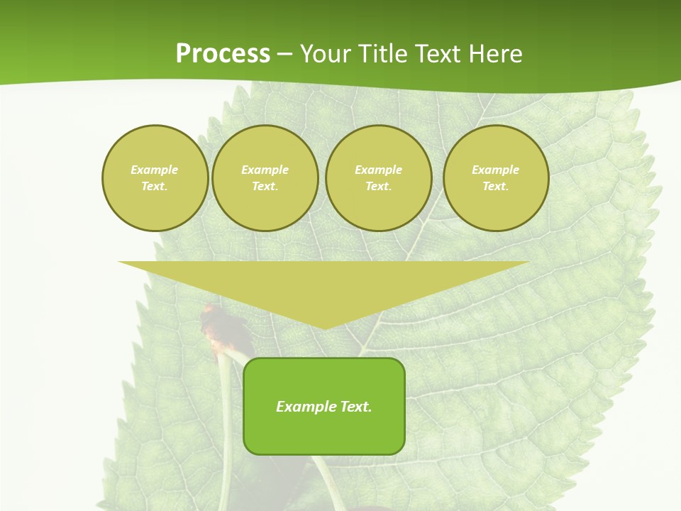 Art Culture Writing PowerPoint Template