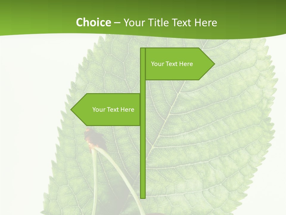 Art Culture Writing PowerPoint Template