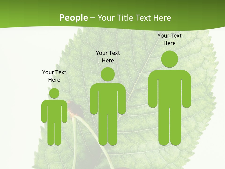 Art Culture Writing PowerPoint Template