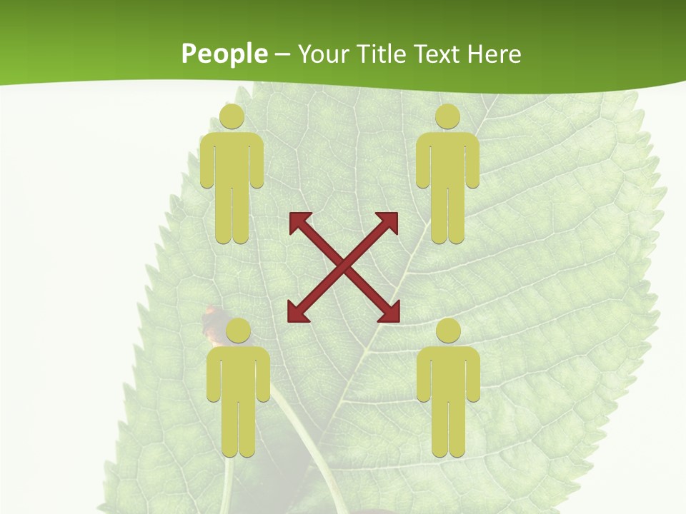 Art Culture Writing PowerPoint Template