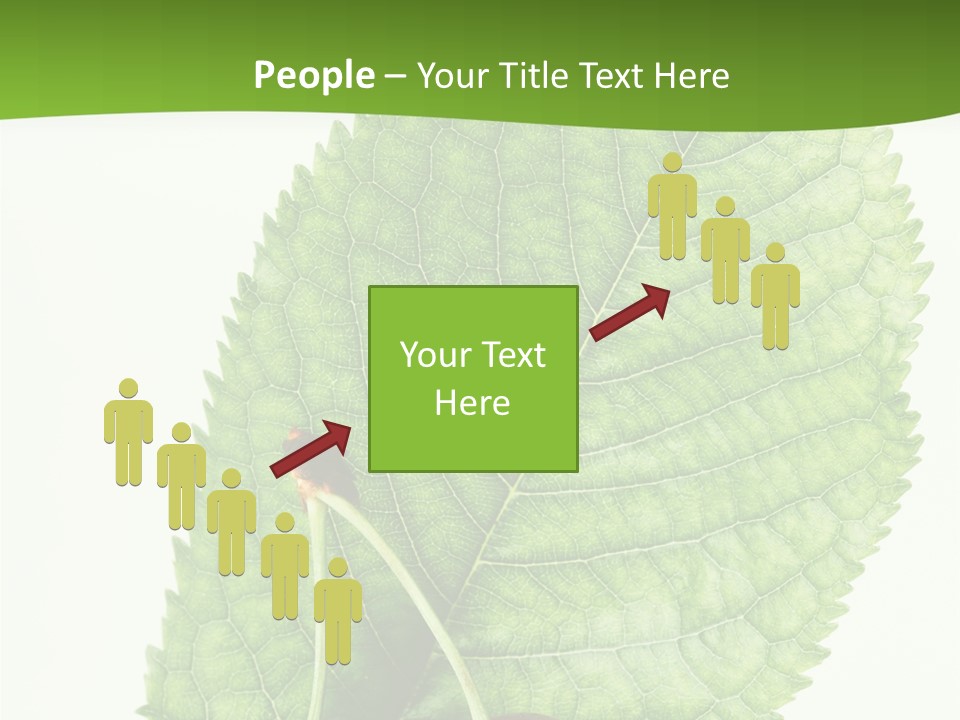 Art Culture Writing PowerPoint Template