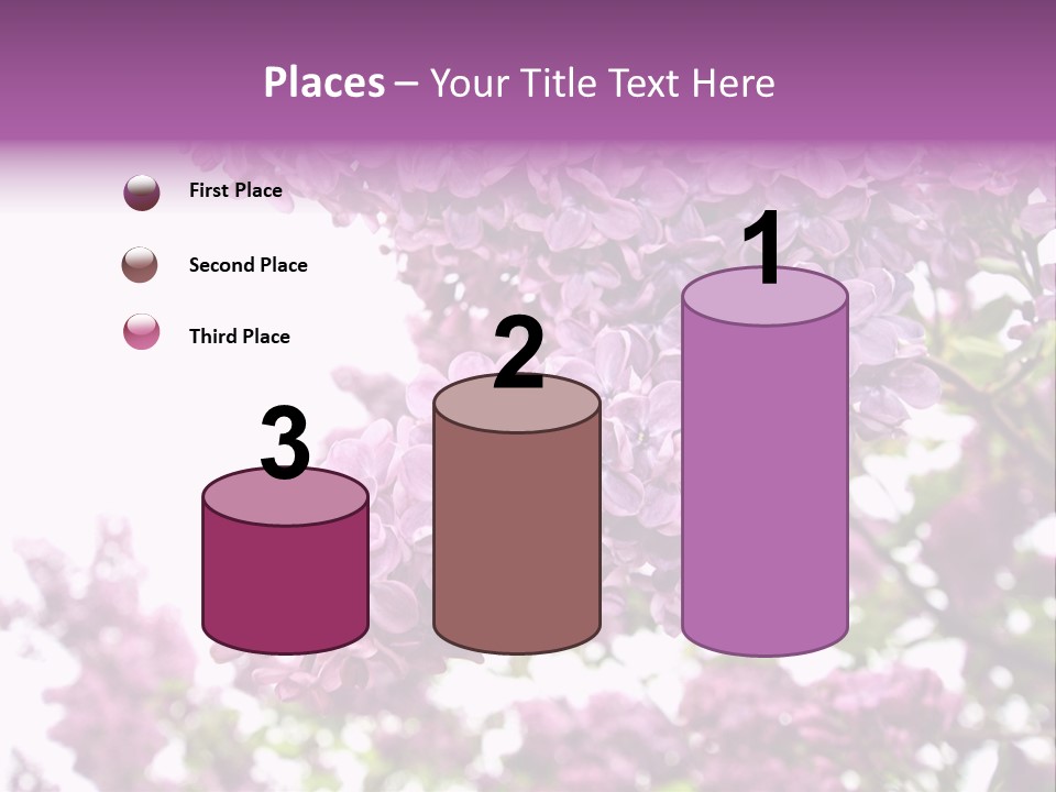 Branch Isolated Petal PowerPoint Template