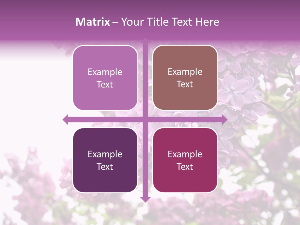 Branch Isolated Petal PowerPoint Template