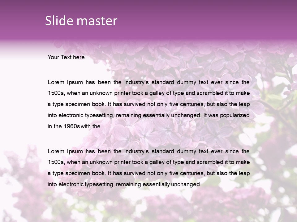 Branch Isolated Petal PowerPoint Template