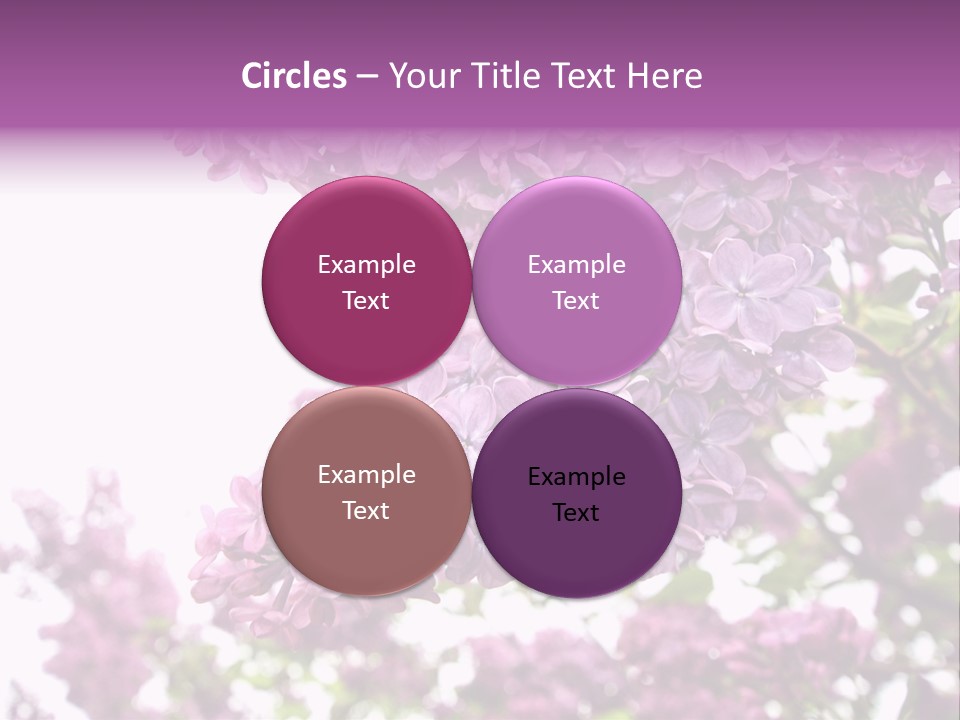 Branch Isolated Petal PowerPoint Template