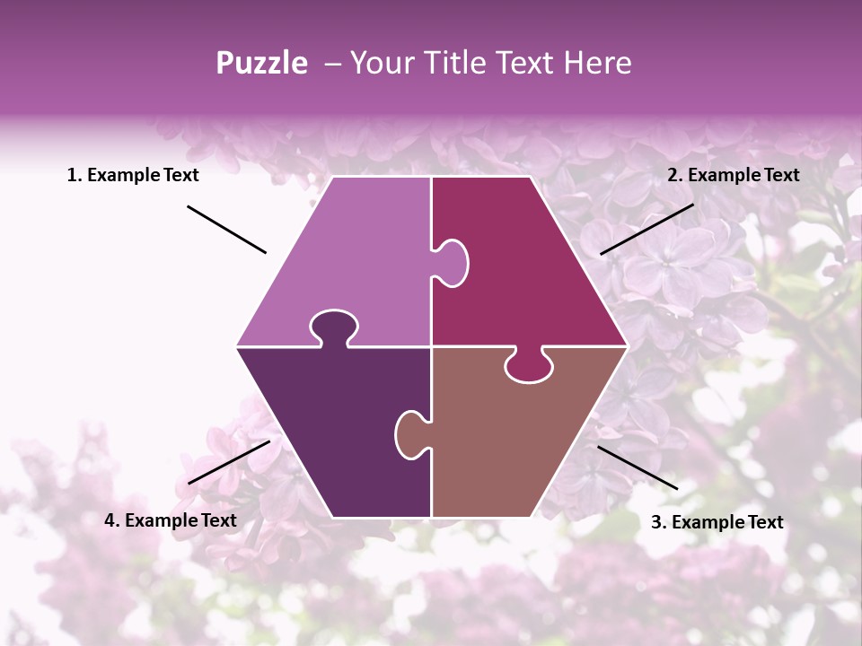 Branch Isolated Petal PowerPoint Template