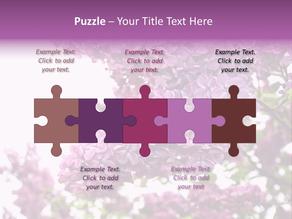 Branch Isolated Petal PowerPoint Template