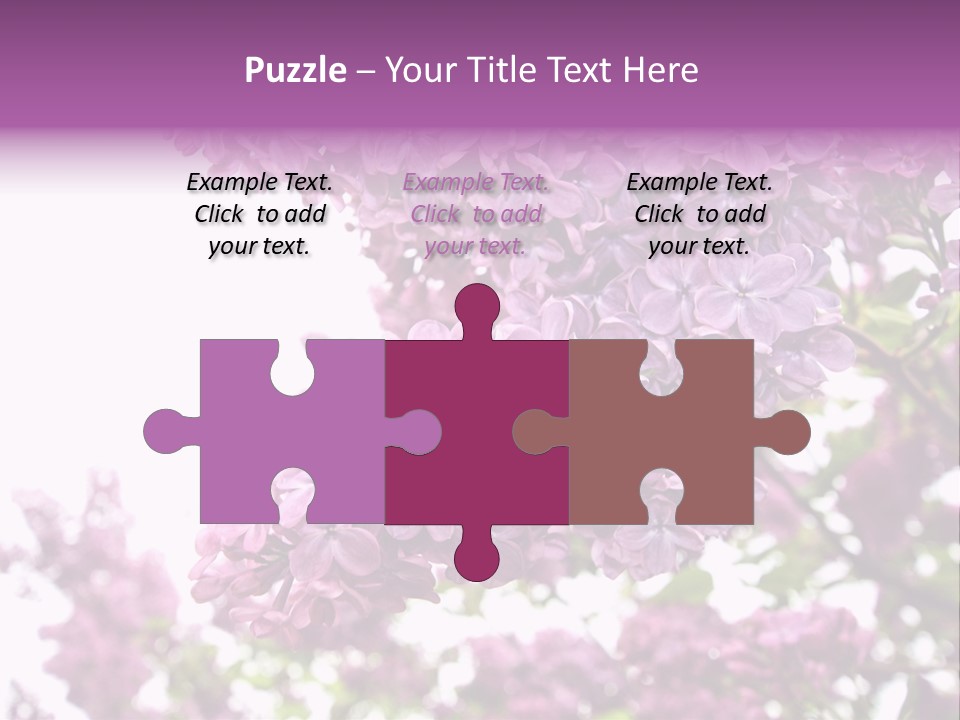 Branch Isolated Petal PowerPoint Template