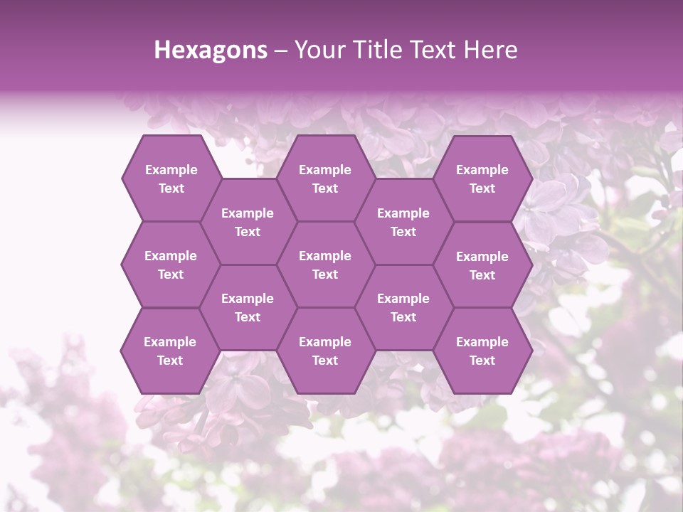 Branch Isolated Petal PowerPoint Template