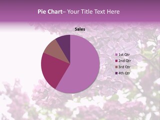 Branch Isolated Petal PowerPoint Template