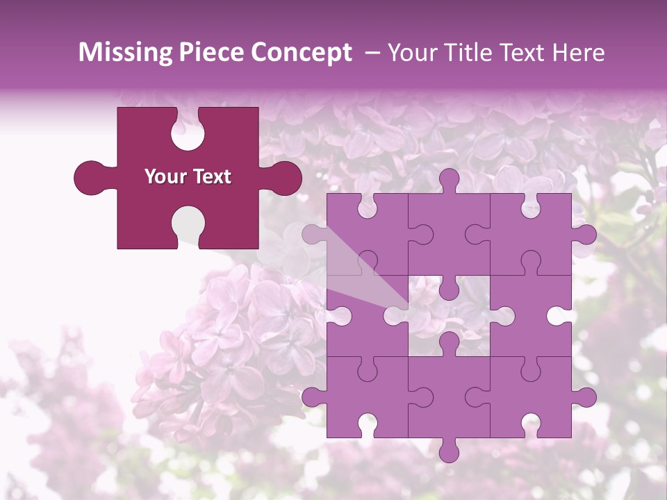 Branch Isolated Petal PowerPoint Template
