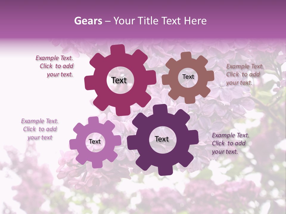Branch Isolated Petal PowerPoint Template