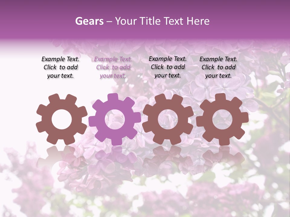 Branch Isolated Petal PowerPoint Template