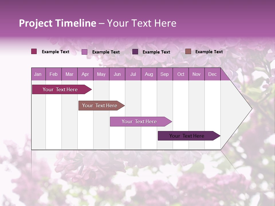 Branch Isolated Petal PowerPoint Template