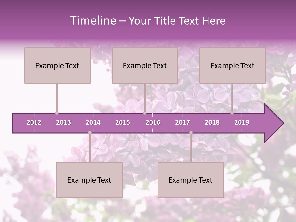 Branch Isolated Petal PowerPoint Template