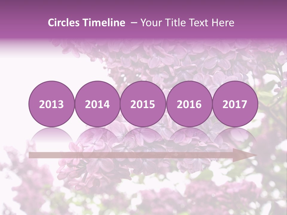 Branch Isolated Petal PowerPoint Template