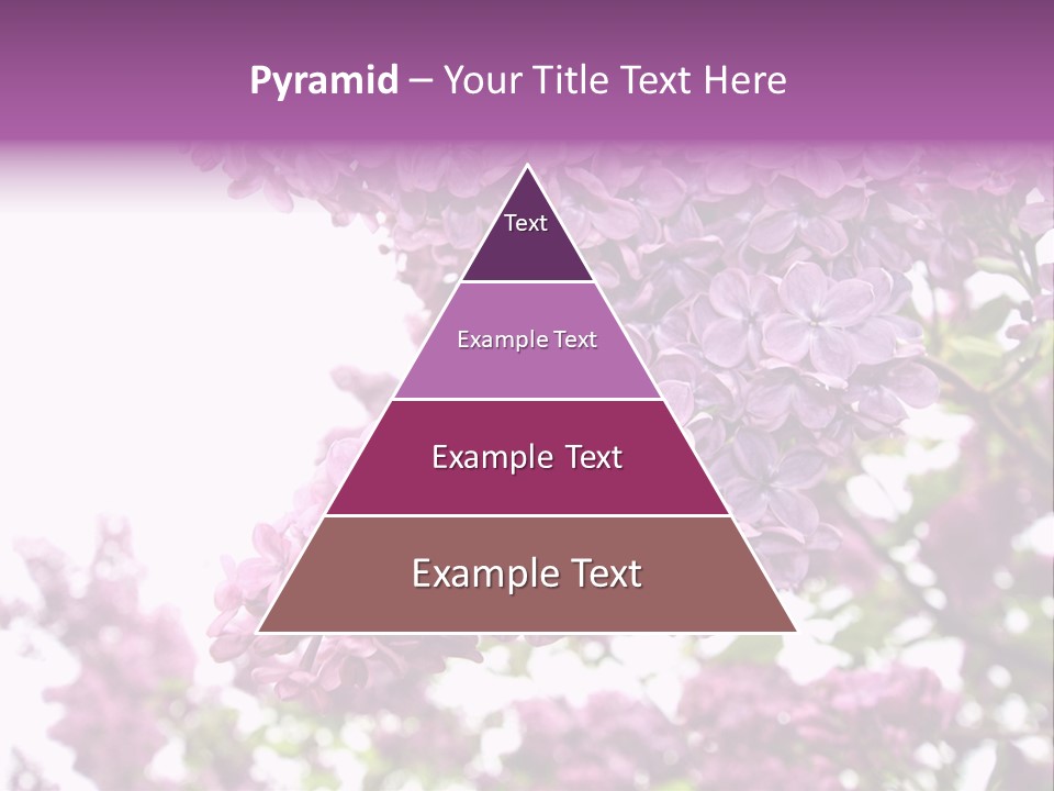 Branch Isolated Petal PowerPoint Template