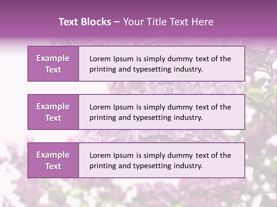 Branch Isolated Petal PowerPoint Template