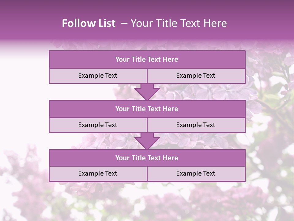 Branch Isolated Petal PowerPoint Template